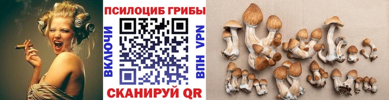 Галлюциногенные грибы MAGIC MUSHROOMS  блэк спрут как зайти  Белый 